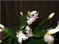 91286676-Picture 016.jpg